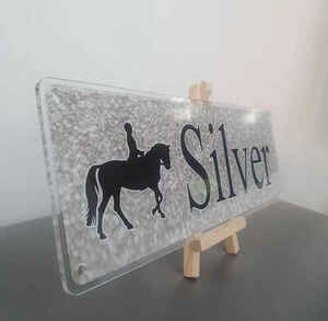 Silver Glitter