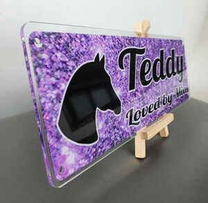 Teddy Purple Glitter